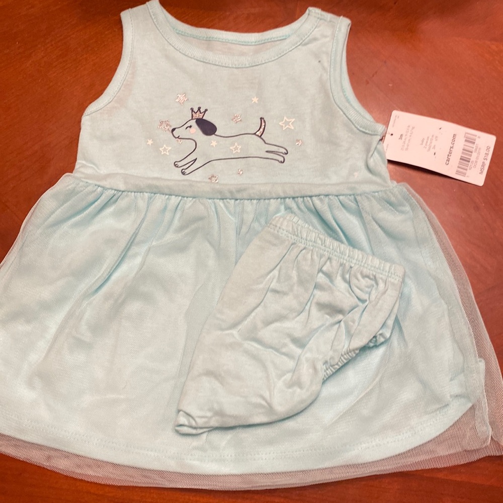 Carters two piece baby blue dress with princess puppy